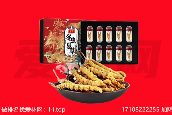 吐鲁番回收虫草.jpg